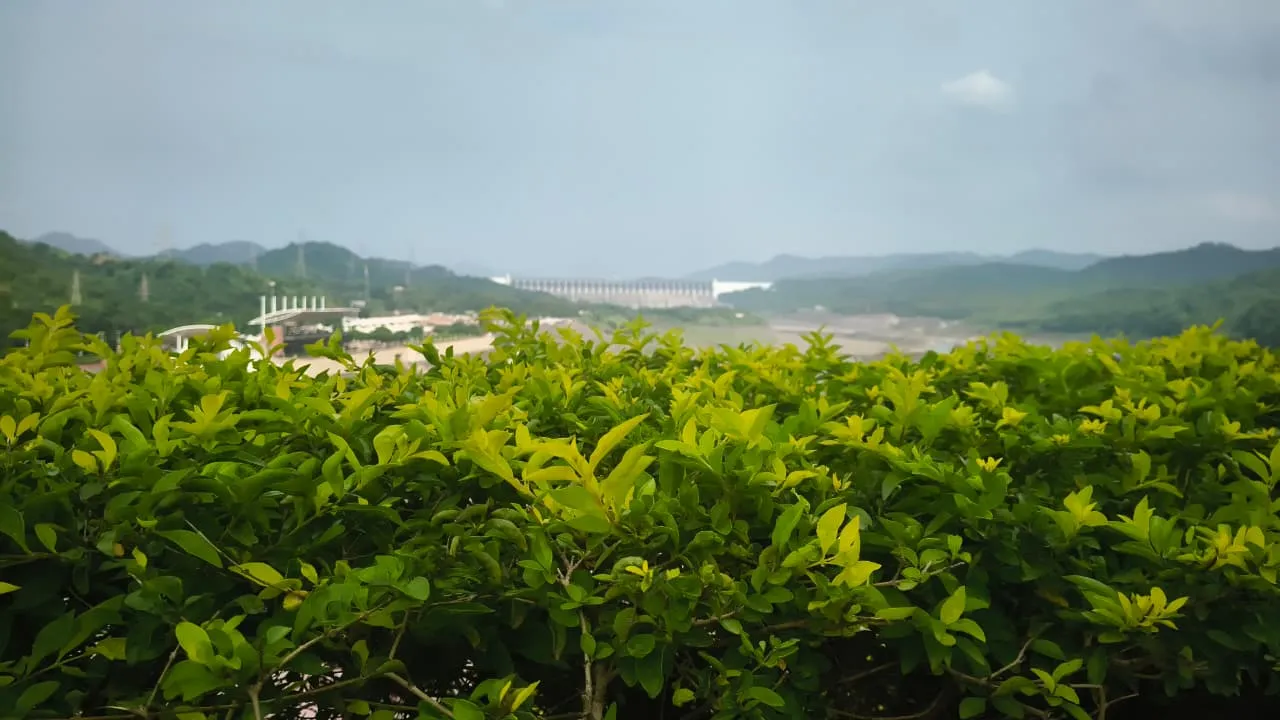 Statue of Unity, Kevadia, Gujarat — photo 15 of 19